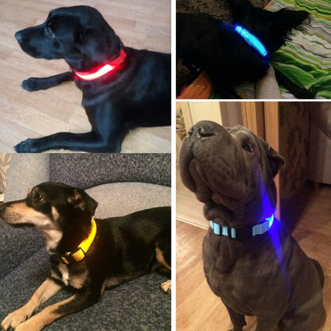 Nylon LED Pet Dog Collar